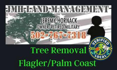 Tree Removal Flagler Palm Coast Discount